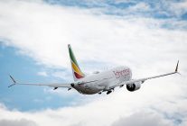
Ethiopian Airlines, première compagnie africaine par sa taille et l’une des marques aériennes connaissant la plus forte crois