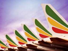 
Ethiopian Airlines est le soumissionnaire privilégié pour les parts de la future compagnie aérienne nigériane Nigeria Air, a 