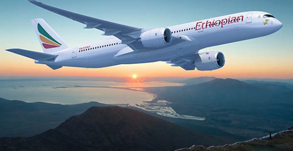 Ce dimanche 28 janvier, à Addis Abeba en Ethiopie, l’Union africaine (UA) lance le Marché unique africain du transport aérien