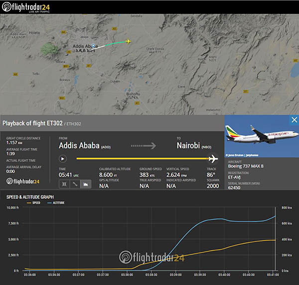 Crash Ethiopian Airlines : 9 Français parmi les victimes 1 Air Journal