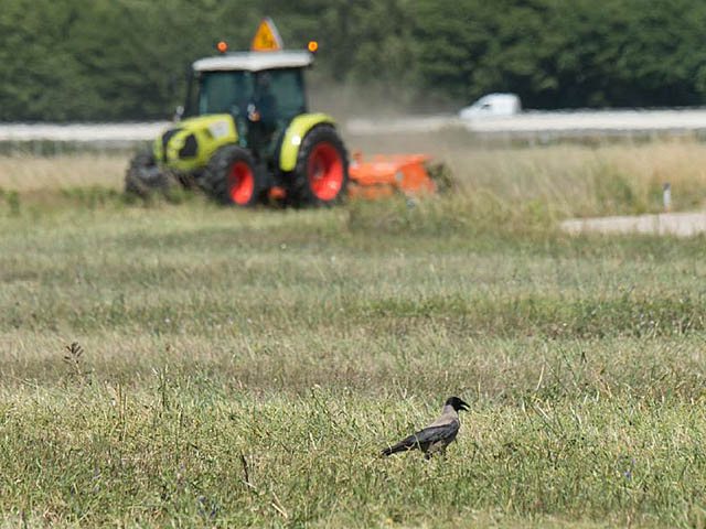 Rennes : Blue Islands depuis Jersey et biodiversité 3 Air Journal