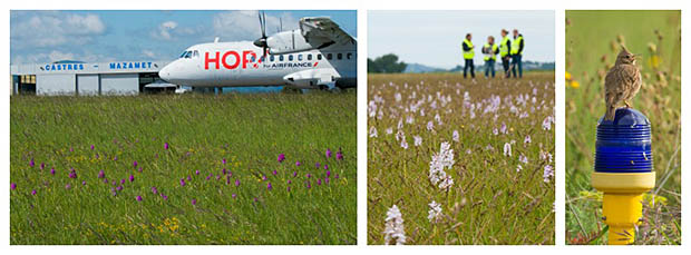 air-journal_HOP Biodiversite