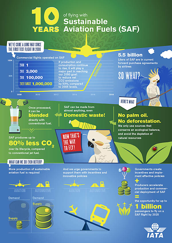 IATA: un milliard de passagers en biocarburant d’ici 2025 115 Air Journal