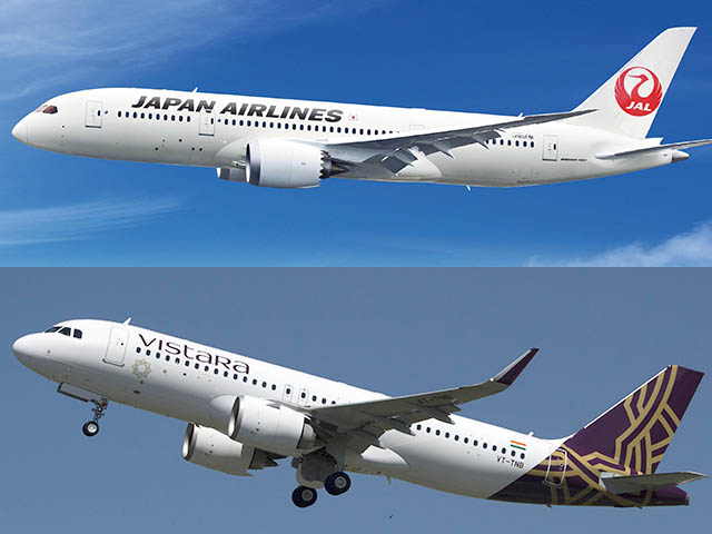Japan Airlines partage ses codes avec Vistara en Inde 44 Air Journal