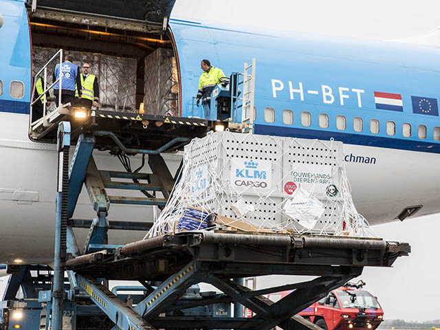 Deux pandas géants dans la soute de KLM (photos) 8 Air Journal
