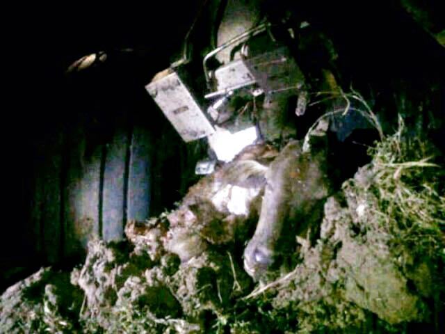 air-journal_Lion Air vache@indoflyer