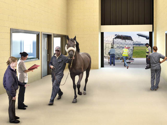 air-journal_New York JFK Ark horses