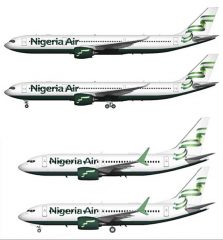Nigeria Air : le gouvernement suspend le lancement de la nouvelle compagnie nationale 1 Air Journal