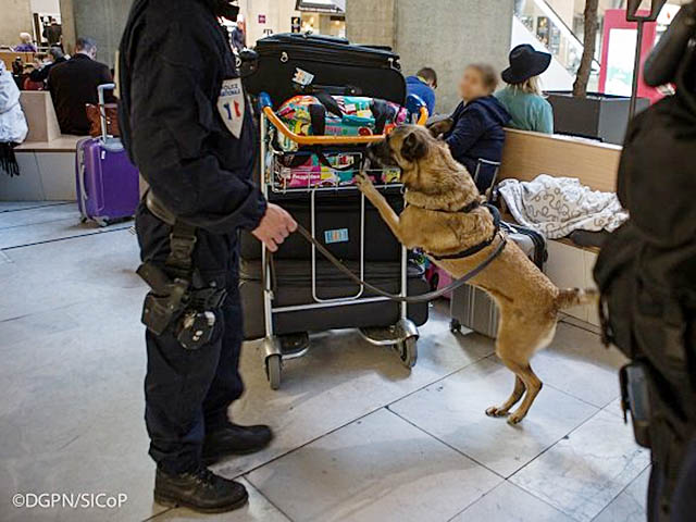 Aéroports de Paris : 17 tonnes de drogues saisies en 2021 46 Air Journal