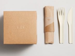 La compagnie aérienne SAS Scandinavian Airlines adopte de nouveaux cubes New Nordic plus durables pour les menus servis à bord d