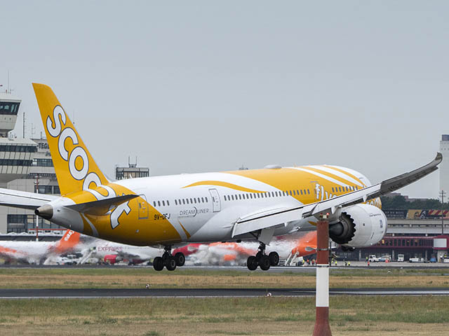 Scoot inaugure son Singapour – Berlin low cost 62 Air Journal