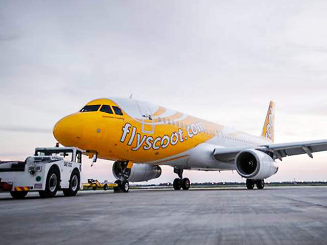 Scoot : un Singapour – Honolulu low cost en vue 100 Air Journal