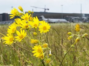 
Les mesures concernant le transport aérien du projet de loi   Climat et Résilience » sont   discriminatoires, inefficac