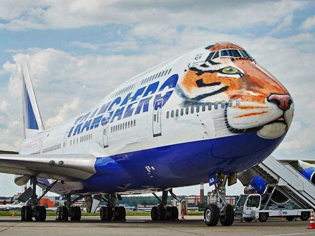 air-journal_Transaero tigre2