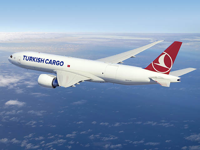 Turkish Airlines : vols suspendus depuis le Royaume Uni et choc aviaire spectaculaire (vidéo) 50 Air Journal