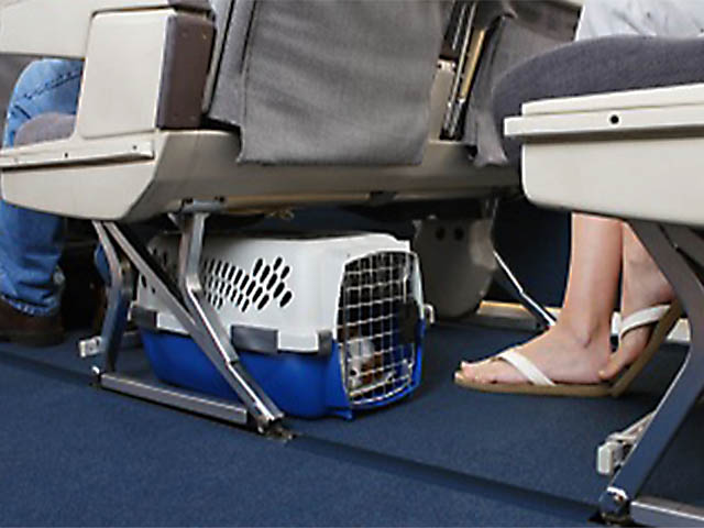 voyage air france animaux