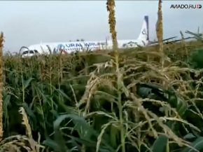 Un avion de la compagnie aérienne Ural Airlines a perdu l’usage de ses deux moteurs après avoir rencontré un vol de mouettes,