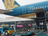 Airbus : charité avec Vietnam Airlines, formation en Inde 101 Air Journal