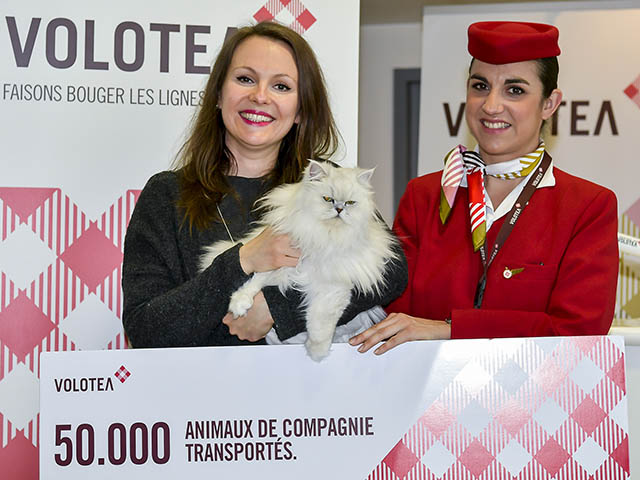 Volotea : un an de vols gratuits pour le chat Lily 22 Air Journal