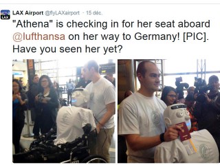 air-journal_aeroport robot Lufthansa