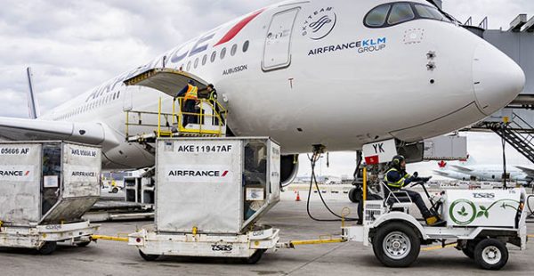 
Air France a prolongé   jusqu’au 31 août inclus » la suspension de ses vols de et vers le Mali et le Burkina Faso, selon le