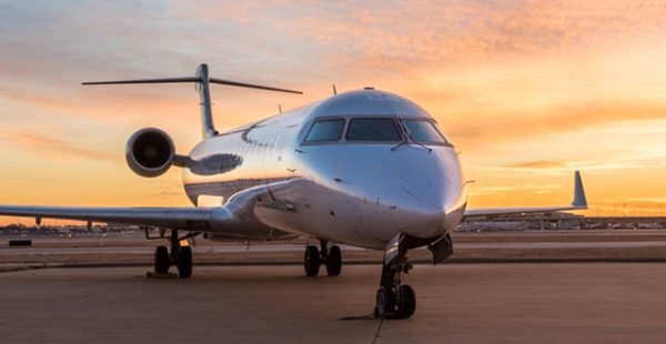 N’importe quoi : une passagère et un chat s’échappent (vidéo) 1 Air Journal