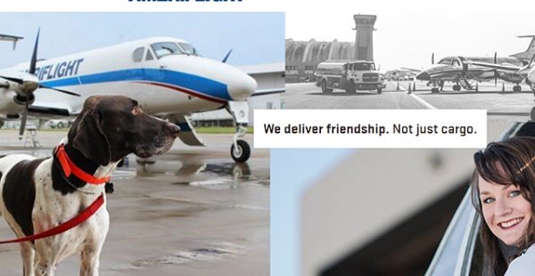 
Un avion s’est écrasé sur un terrain de golf aux Etats-Unis, sans faire de blessés graves parmi les trois membres d’équip