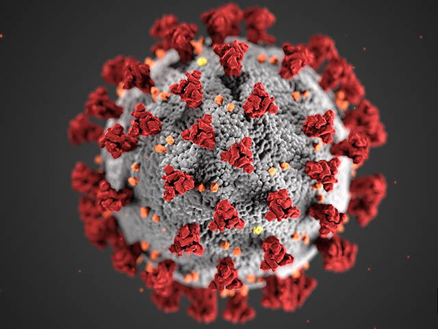 variant omicron israel ferme ses frontieres aux voyageurs etrangers air journal