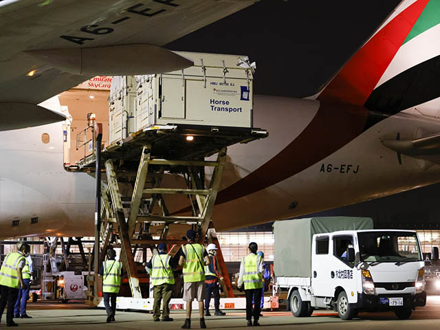 Cargo : Emirates va doubler sa capacité au cours de la prochaine décennie 4 Air Journal