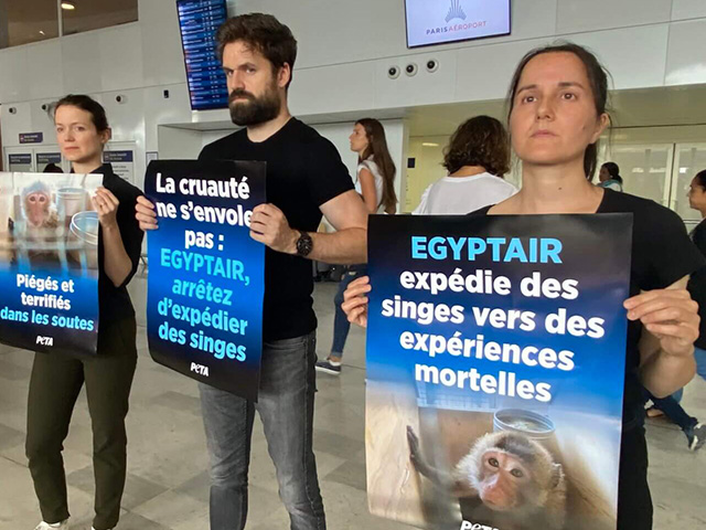 CDG : PETA proteste contre le transport de primates par Egyptair 9 Air Journal