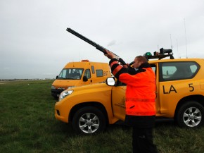 









Les aéroports utilisent plusieurs moyens pour lutter contre le danger aviaire, qui représente un risque important pour