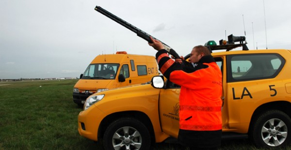 









Les aéroports utilisent plusieurs moyens pour lutter contre le danger aviaire, qui représente un risque important pour