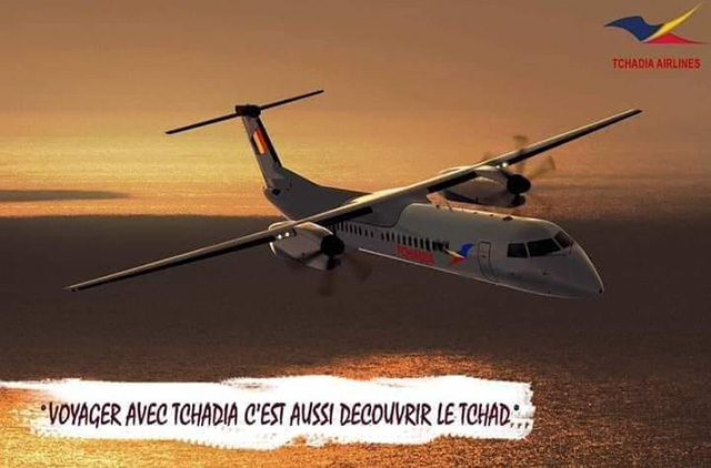 Tchad : la compagnie aérienne nationale liquidée 29 Air Journal